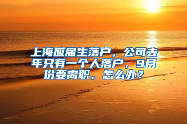 上海应届生落户，公司去年只有一个人落户，9月份要离职，怎么办？