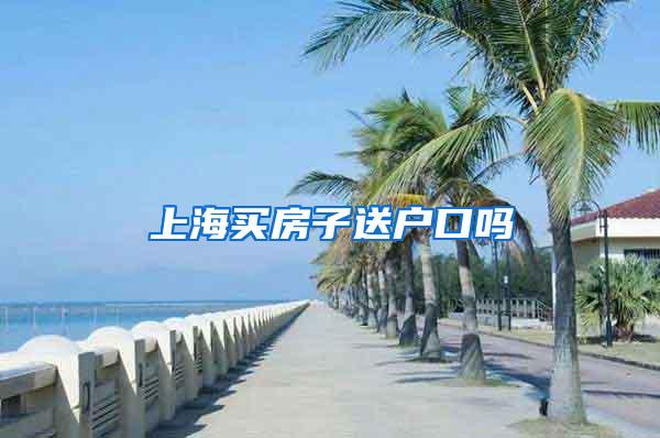 上海买房子送户口吗