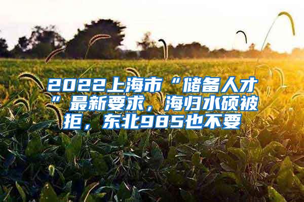 2022上海市“储备人才”最新要求，海归水硕被拒，东北985也不要