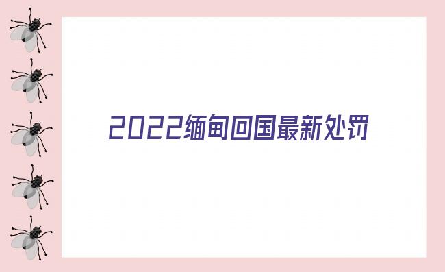 2022缅甸回国最新处罚