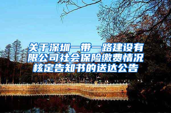 关于深圳一带一路建设有限公司社会保险缴费情况核定告知书的送达公告