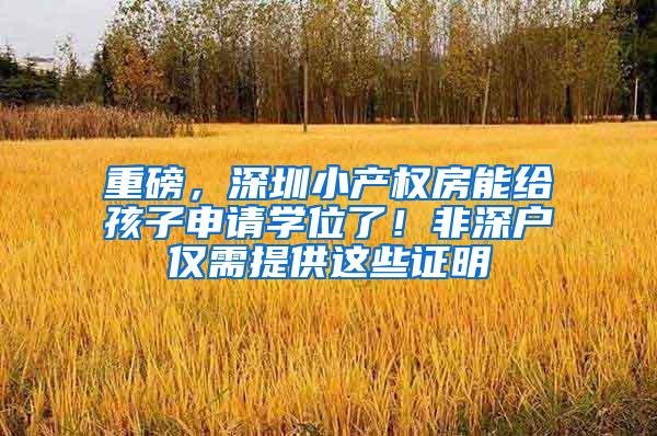 重磅，深圳小产权房能给孩子申请学位了！非深户仅需提供这些证明