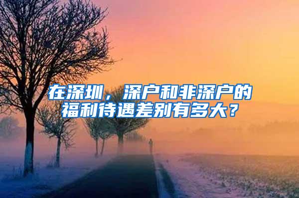 在深圳，深户和非深户的福利待遇差别有多大？