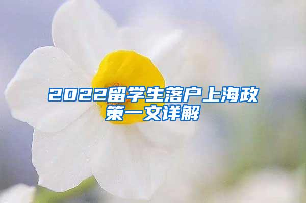 2022留学生落户上海政策一文详解