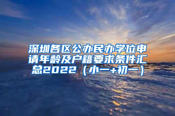 深圳各区公办民办学位申请年龄及户籍要求条件汇总2022（小一+初一）