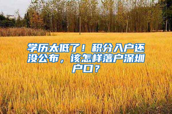 学历太低了！积分入户还没公布，该怎样落户深圳户口？