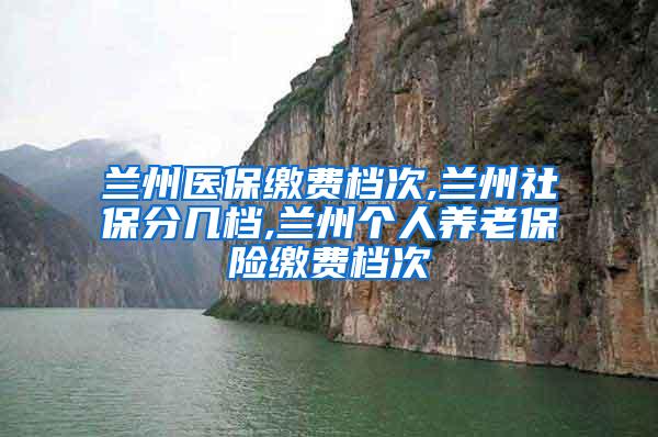 兰州医保缴费档次,兰州社保分几档,兰州个人养老保险缴费档次