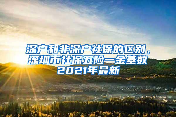 深户和非深户社保的区别，深圳市社保五险一金基数2021年最新