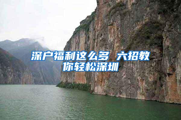 深户福利这么多 六招教你轻松深圳