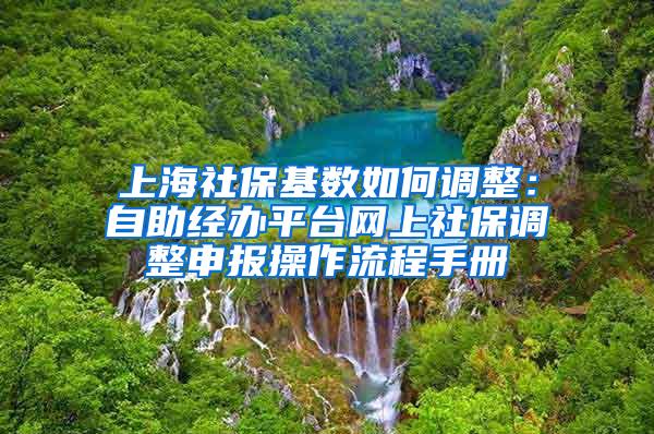 上海社保基数如何调整：自助经办平台网上社保调整申报操作流程手册