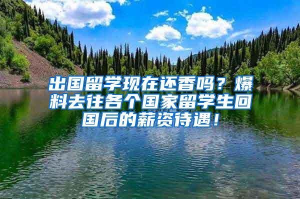 出国留学现在还香吗？爆料去往各个国家留学生回国后的薪资待遇！