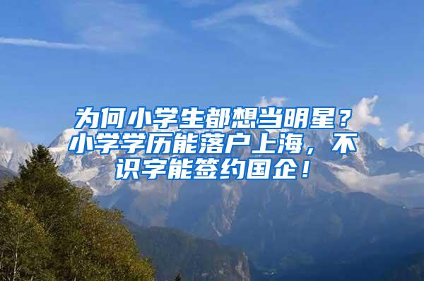 为何小学生都想当明星？小学学历能落户上海，不识字能签约国企！