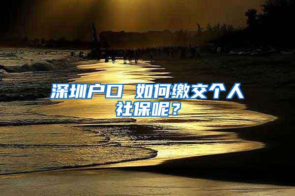深圳户口 如何缴交个人社保呢？