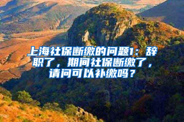 上海社保断缴的问题1：辞职了，期间社保断缴了，请问可以补缴吗？