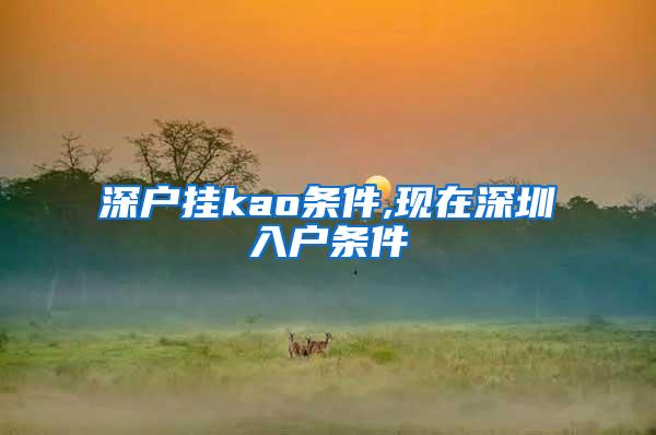 深户挂kao条件,现在深圳入户条件