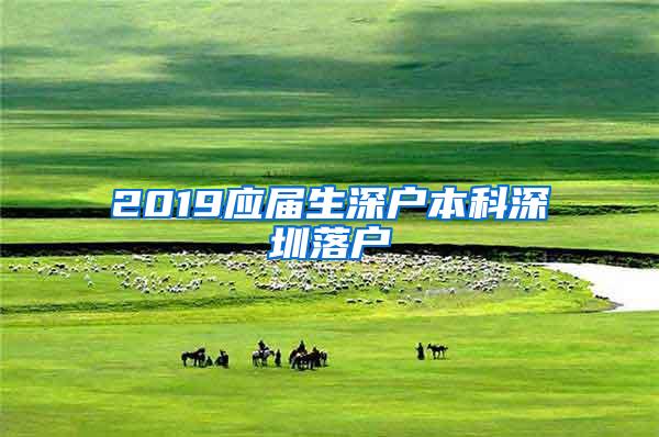 2019应届生深户本科深圳落户