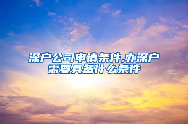 深户公司申请条件,办深户需要具备什么条件