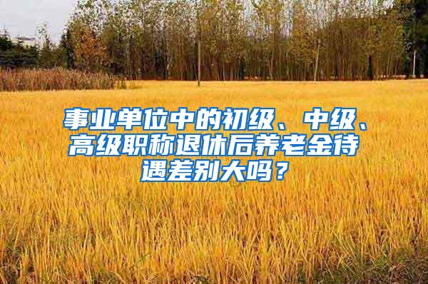 事业单位中的初级、中级、高级职称退休后养老金待遇差别大吗？