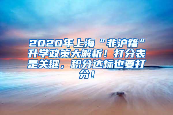 2020年上海“非沪籍”升学政策大解析！打分表是关键，积分达标也要打分！