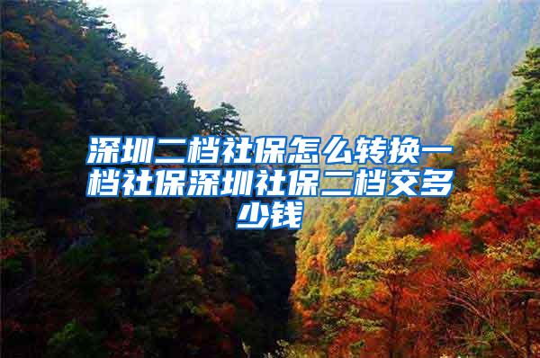 深圳二档社保怎么转换一档社保深圳社保二档交多少钱