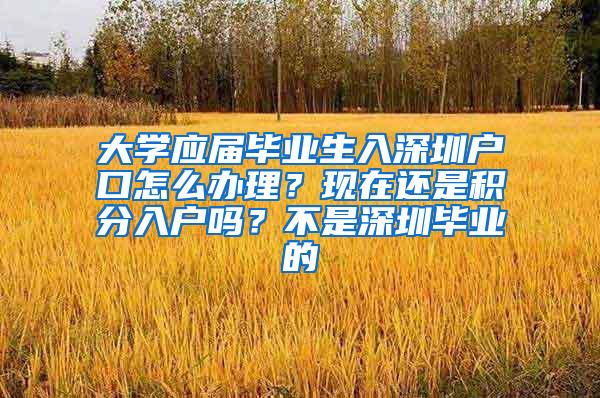 大学应届毕业生入深圳户口怎么办理？现在还是积分入户吗？不是深圳毕业的