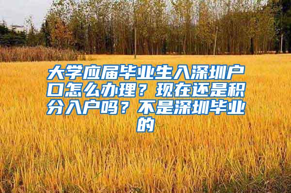 大学应届毕业生入深圳户口怎么办理？现在还是积分入户吗？不是深圳毕业的