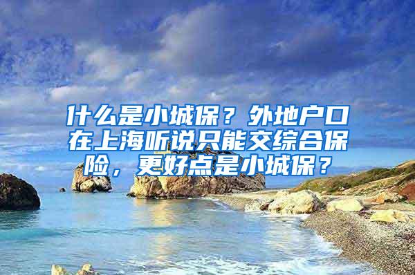 什么是小城保？外地户口在上海听说只能交综合保险，更好点是小城保？