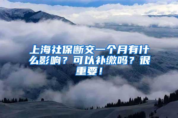 上海社保断交一个月有什么影响？可以补缴吗？很重要！