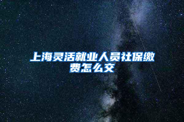 上海灵活就业人员社保缴费怎么交