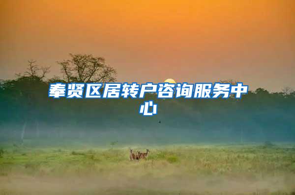 奉贤区居转户咨询服务中心