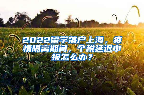 2022留学落户上海，疫情隔离期间，个税延迟申报怎么办？
