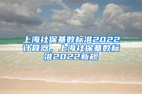 上海社保基数标准2022计算器，上海社保基数标准2022新规