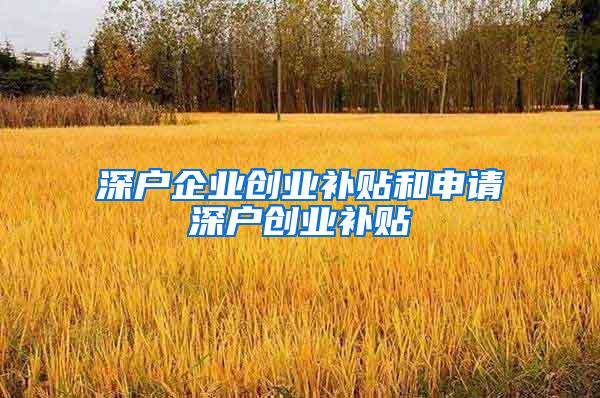 深户企业创业补贴和申请深户创业补贴