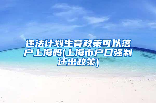 违法计划生育政策可以落户上海吗(上海市户口强制迁出政策)