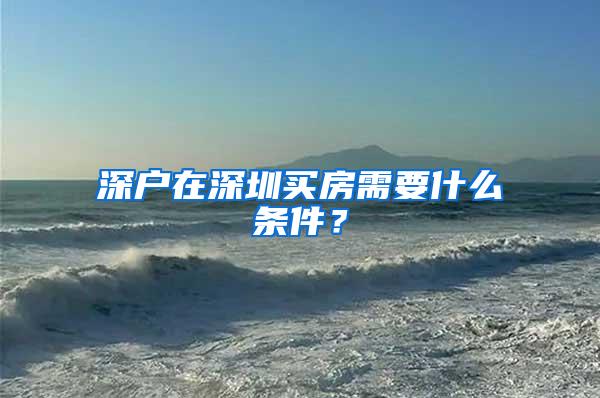 深户在深圳买房需要什么条件？