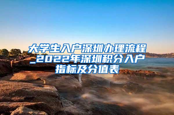 大学生入户深圳办理流程_2022年深圳积分入户指标及分值表