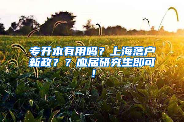 专升本有用吗？上海落户新政？？应届研究生即可！