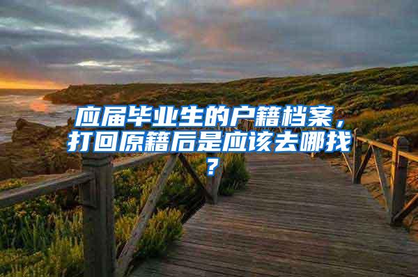 应届毕业生的户籍档案，打回原籍后是应该去哪找？