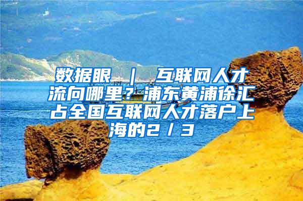 数据眼 ｜ 互联网人才流向哪里？浦东黄浦徐汇占全国互联网人才落户上海的2／3