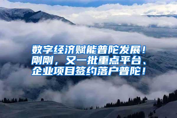 数字经济赋能普陀发展！刚刚，又一批重点平台、企业项目签约落户普陀！