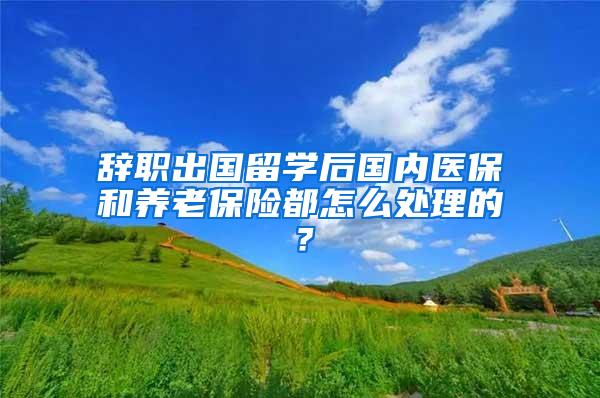 辞职出国留学后国内医保和养老保险都怎么处理的？
