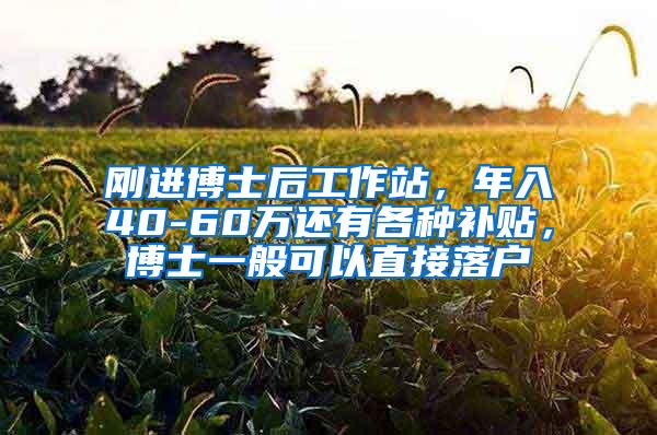 刚进博士后工作站，年入40-60万还有各种补贴，博士一般可以直接落户
