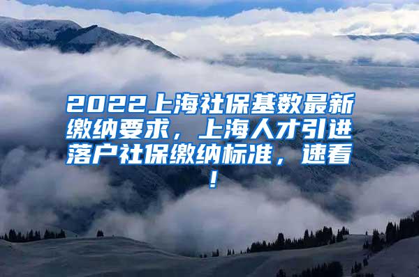 2022上海社保基数最新缴纳要求，上海人才引进落户社保缴纳标准，速看！