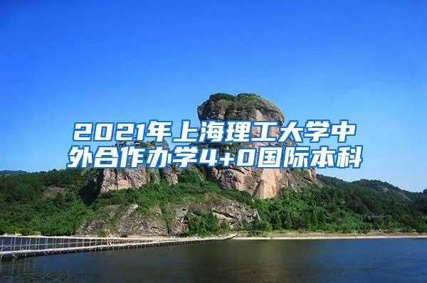 2021年上海理工大学中外合作办学4+0国际本科