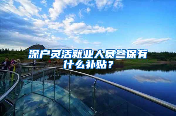 深户灵活就业人员参保有什么补贴？