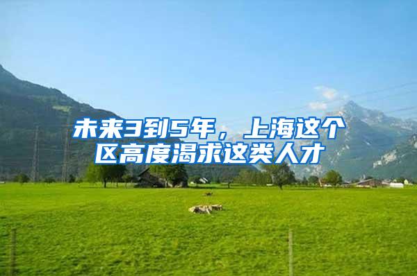未来3到5年，上海这个区高度渴求这类人才