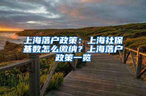 上海落户政策：上海社保基数怎么缴纳？上海落户政策一览