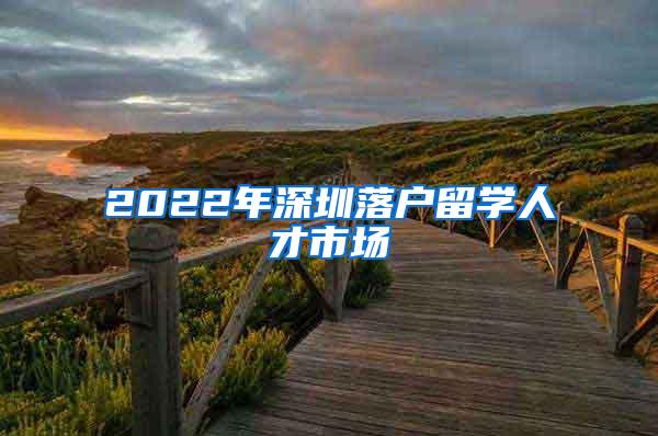 2022年深圳落户留学人才市场