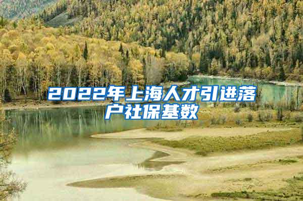 2022年上海人才引进落户社保基数