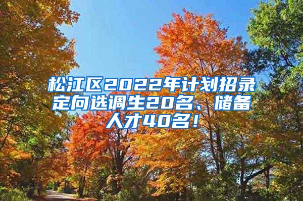 松江区2022年计划招录定向选调生20名、储备人才40名！